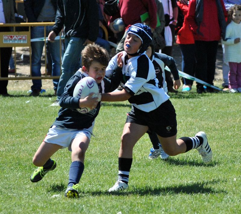 6a00d83451bf7069e2014e8873ccf6970d-800wi